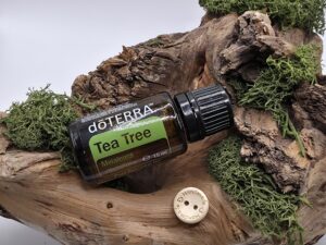 dōTERRA Tea Tree (Melaleuca) Essential Oil - 15ml